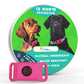 Tick Flea and Collar for Dogs Adjustable Polyethylene Four Seasons - Teleplus tick