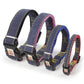 Two-Piece Set Pet Leash and Chest Traction Collar for Dogs Cats - Teleplus two-piece set three-piece traction collar