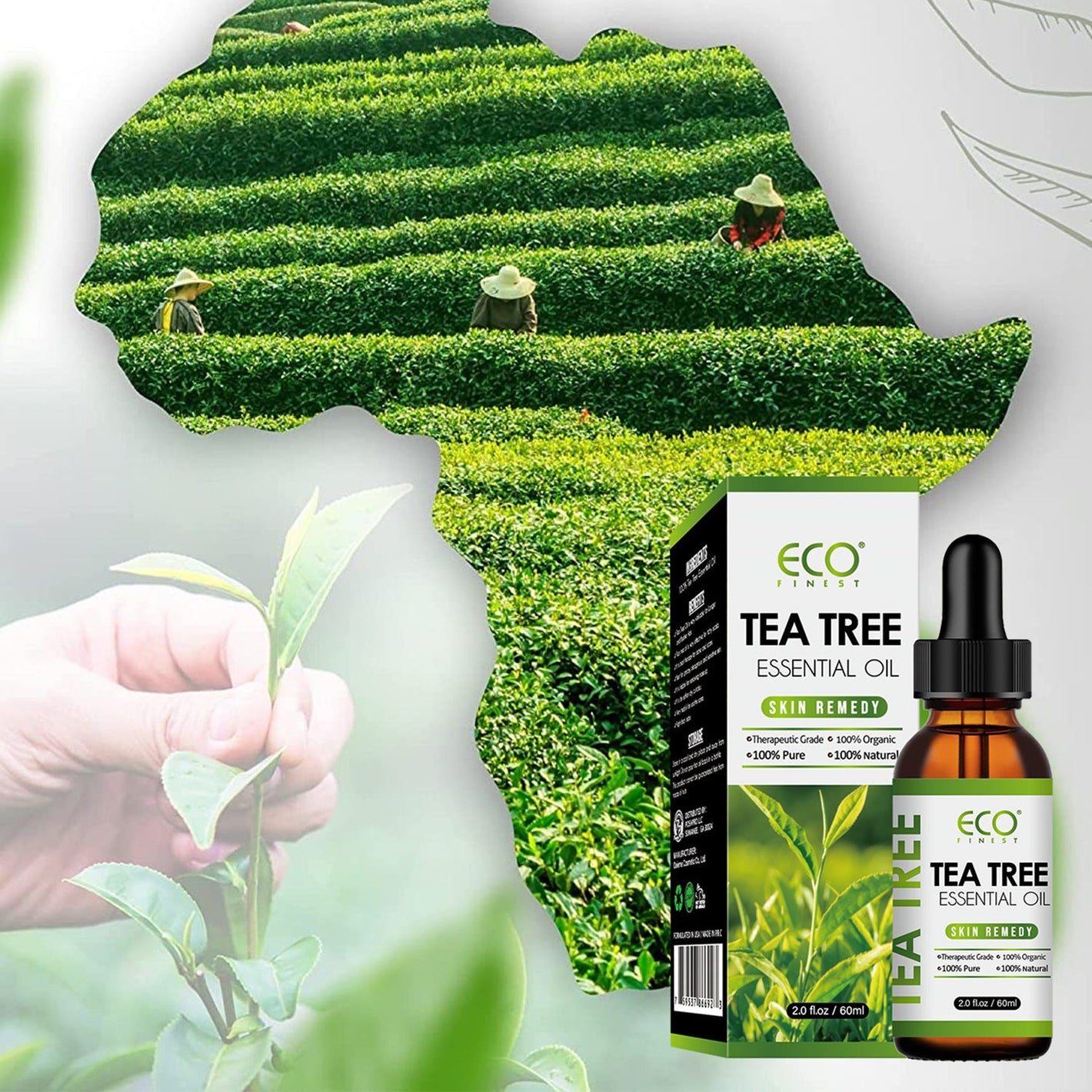 Universal Essential Oil Net 60 Pack for Skin Care and Aromatherapy - Teleplus essential oil