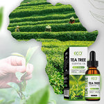 Universal Essential Oil Net 60 Pack for Skin Care and Aromatherapy - Teleplus essential oil