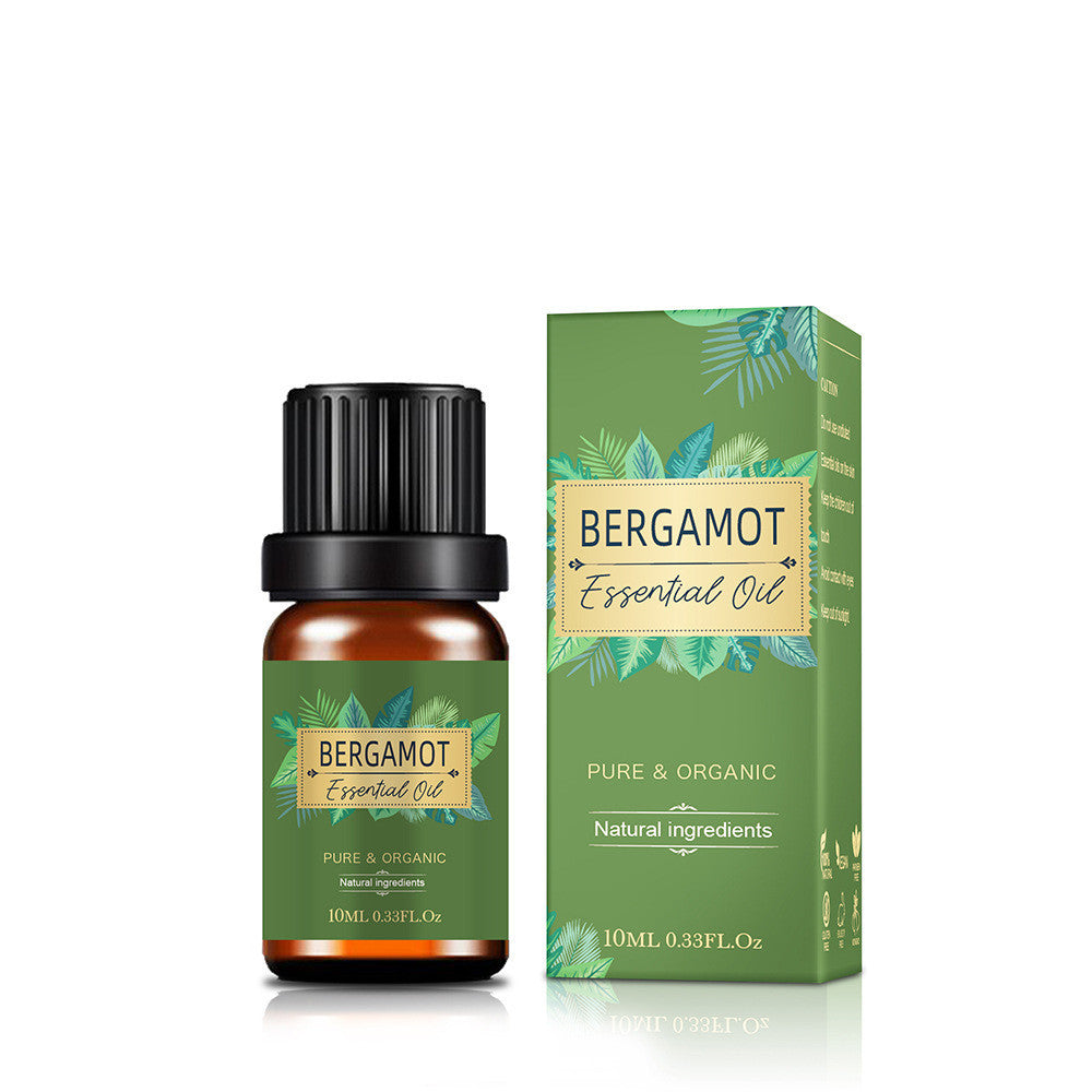 Universal Essential Oil Storage Net with Shelf for 3 Years - Teleplus teleplus universal essential oil storage net