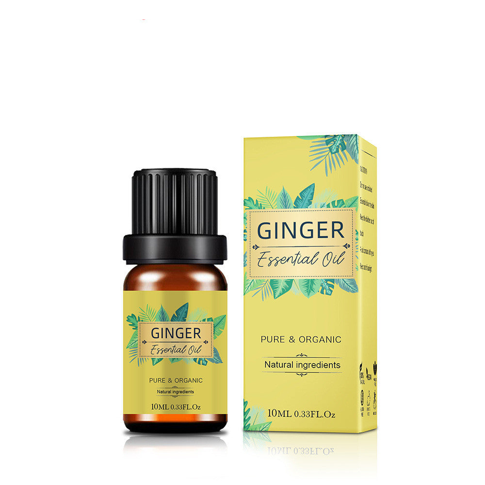 Universal Essential Oil Storage Net with Shelf for 3 Years - Teleplus teleplus universal essential oil storage net