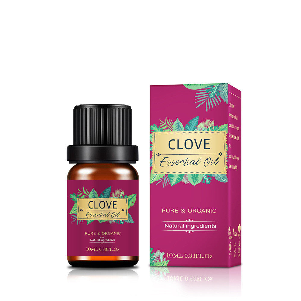 Universal Essential Oil Storage Net with Shelf for 3 Years - Teleplus teleplus universal essential oil storage net