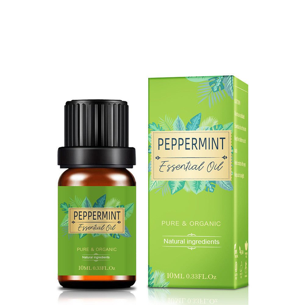 Universal Essential Oil Storage Net with Shelf for 3 Years - Teleplus teleplus universal essential oil storage net