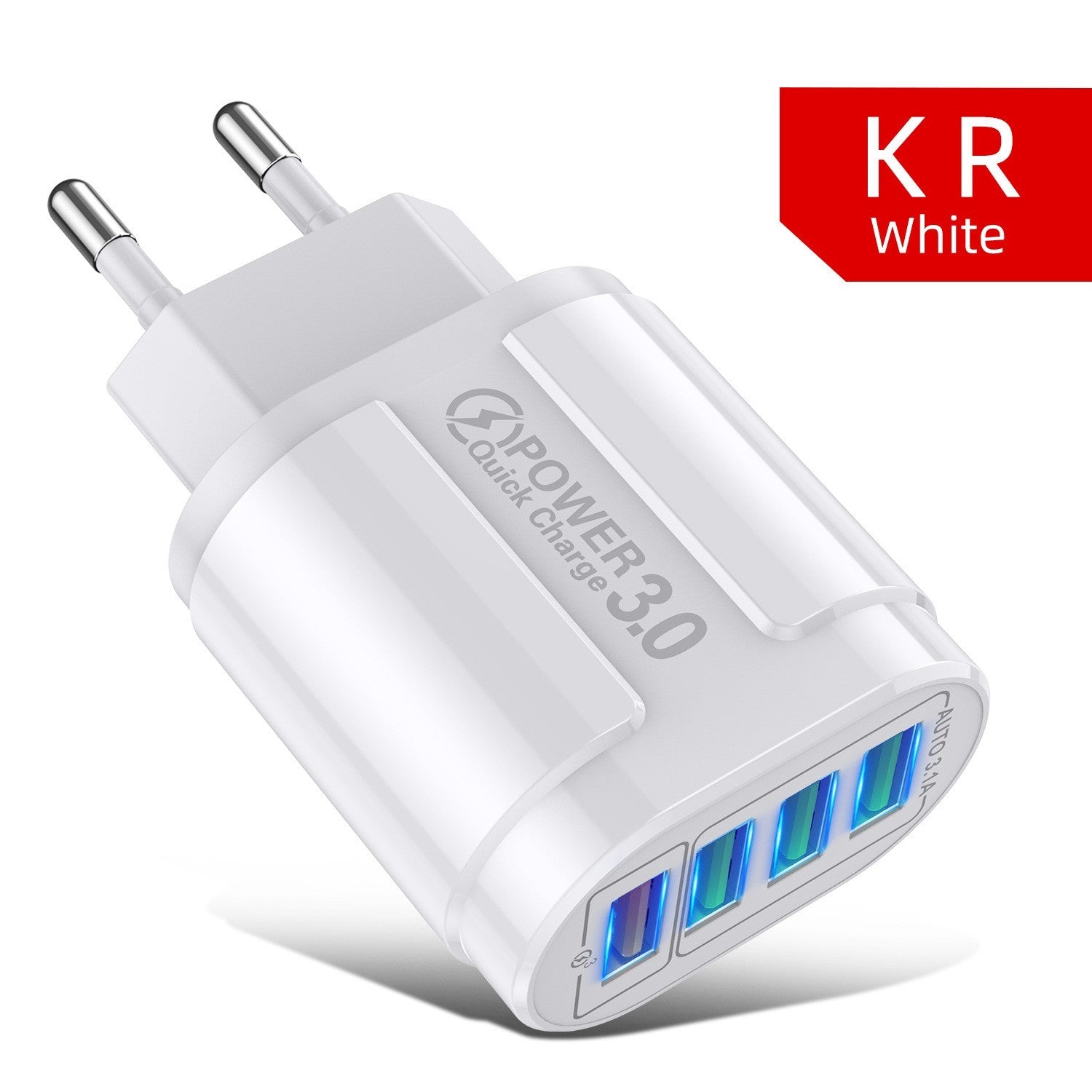 Universal USB Plastic Charger for United States and Europe with Swiss CHF CH 60g - Single-Port Fast All Your Needs