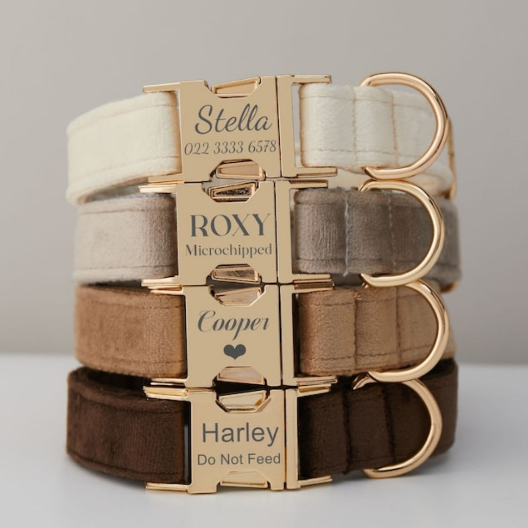 Velvet Dog Collar with Bow Tie Metal Buckle and Soft Cotton Lining - dog collar