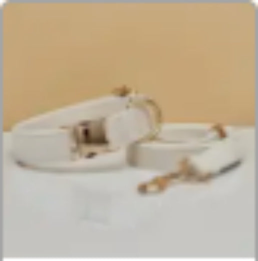 Velvet Dog Collar with Bow Tie Metal Buckle and Soft Cotton Lining - dog collar