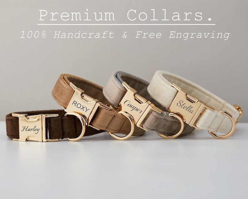 Velvet Dog Collar with Metal Buckle Bow Tie and Soft Cotton Lining - dog collar