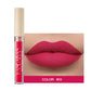 Velvet Matte Finish Lipstick with Colors Lip Gloss and Liquid Texture - Teleplus matte finish velvet colors lip gloss
