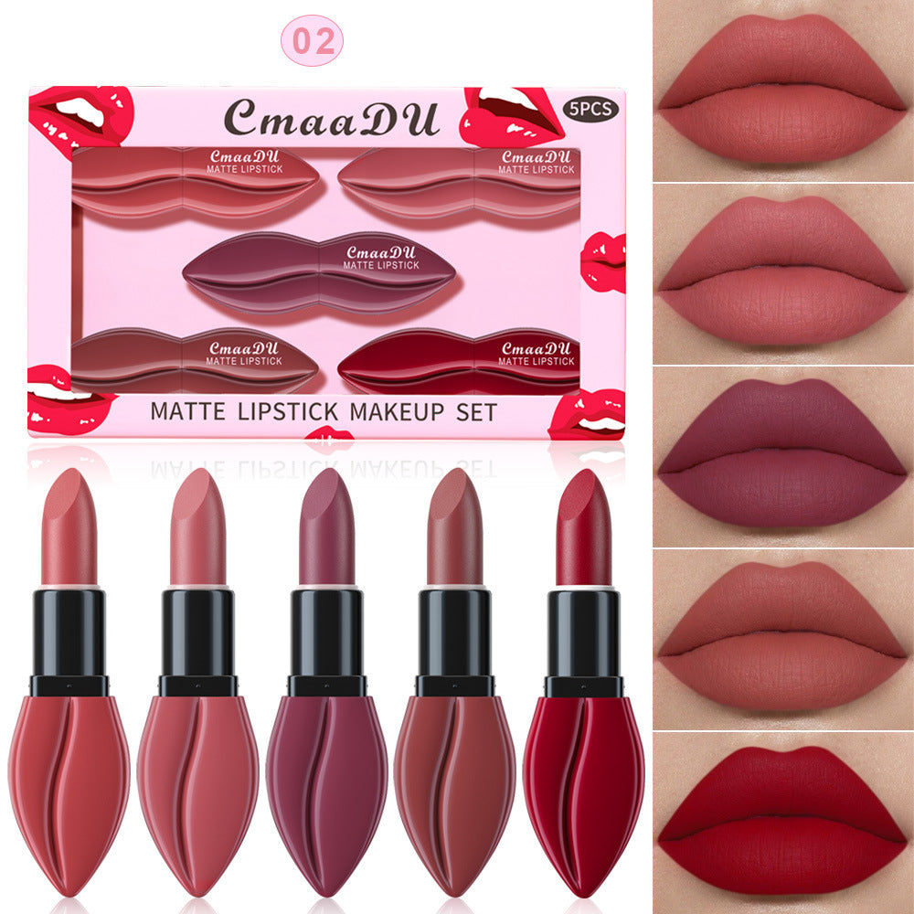Versatile Matte Lipstick Set with 5 Colors for Customizable Looks - Teleplus Custom versatile matte lipstick set