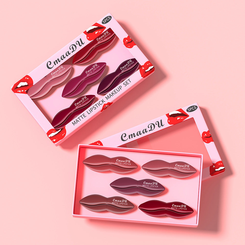 Versatile Matte Lipstick Set with 5 Colors for Customizable Looks - Teleplus Custom versatile matte lipstick set