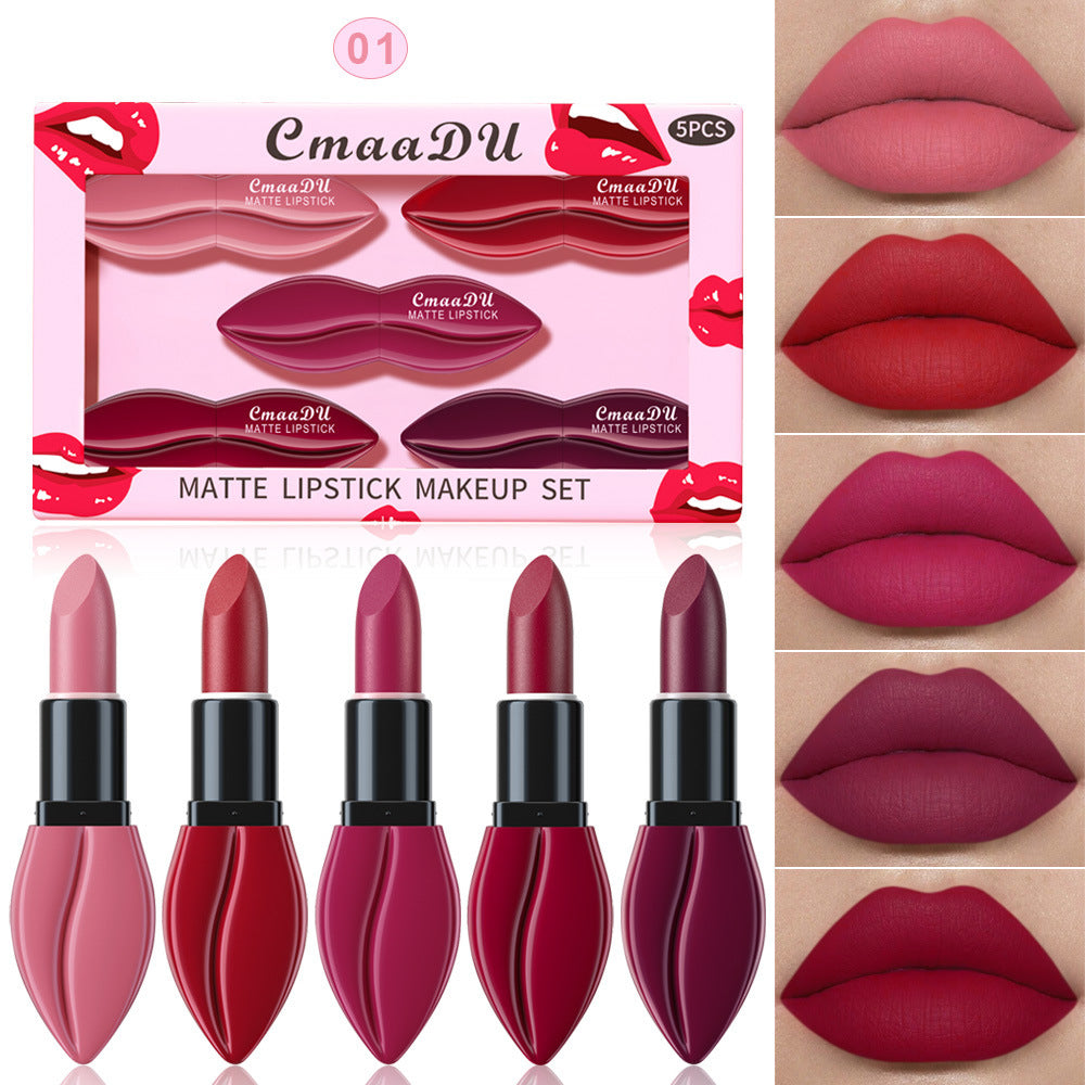 Versatile Matte Lipstick Set with 5 Colors for Customizable Looks - Teleplus Custom versatile matte lipstick set
