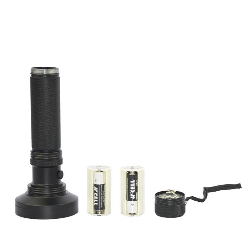 Violet Fluorescent Agent Detection Flashlight with 800 Power Supply - violet flashlight fluorescent agent detection lamp