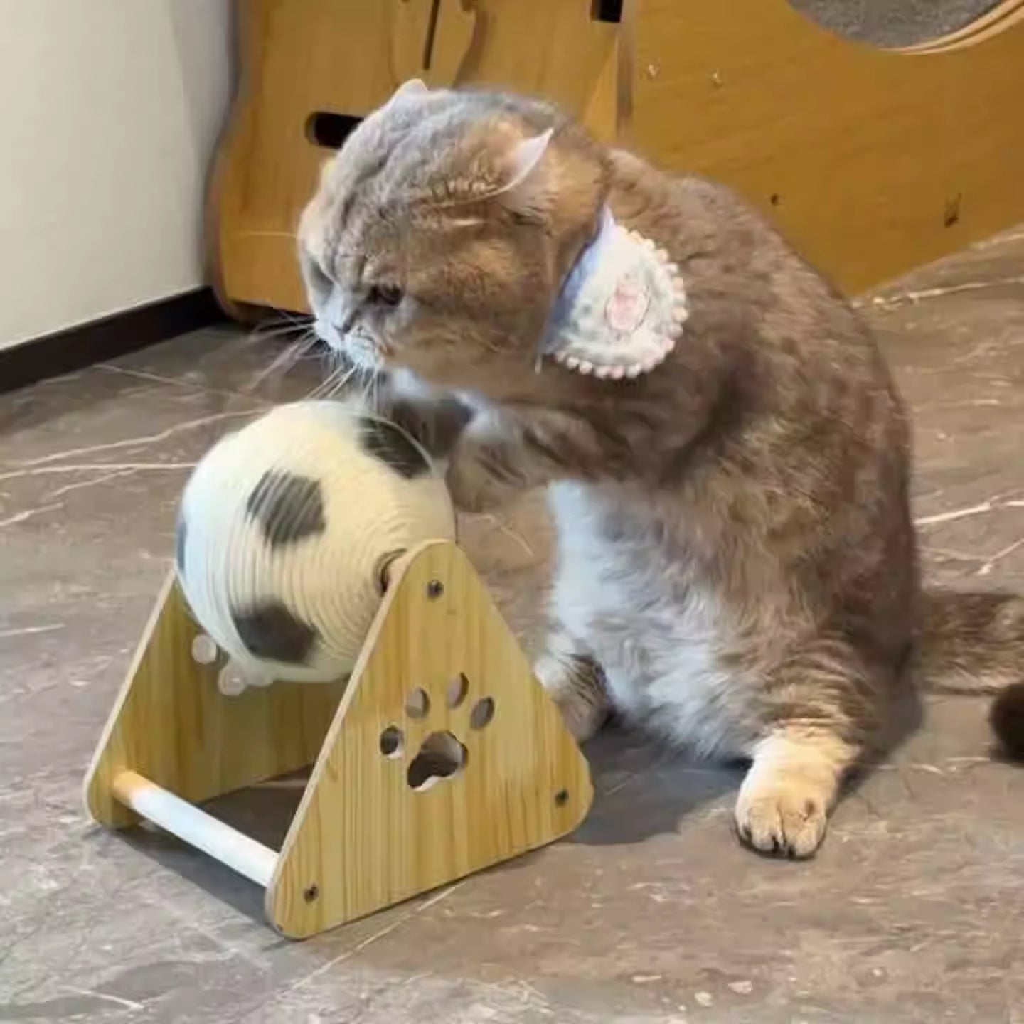 Wood Sisal Cat Scratching Ball Toy with Solid Base for Claw Grinding - Teleplus wood sisal
