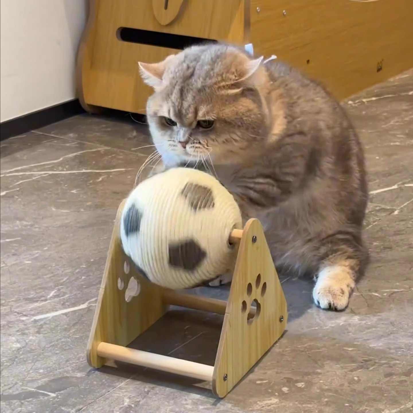 Wood Sisal Cat Scratching Ball Toy with Solid Base for Claw Grinding - Teleplus wood sisal
