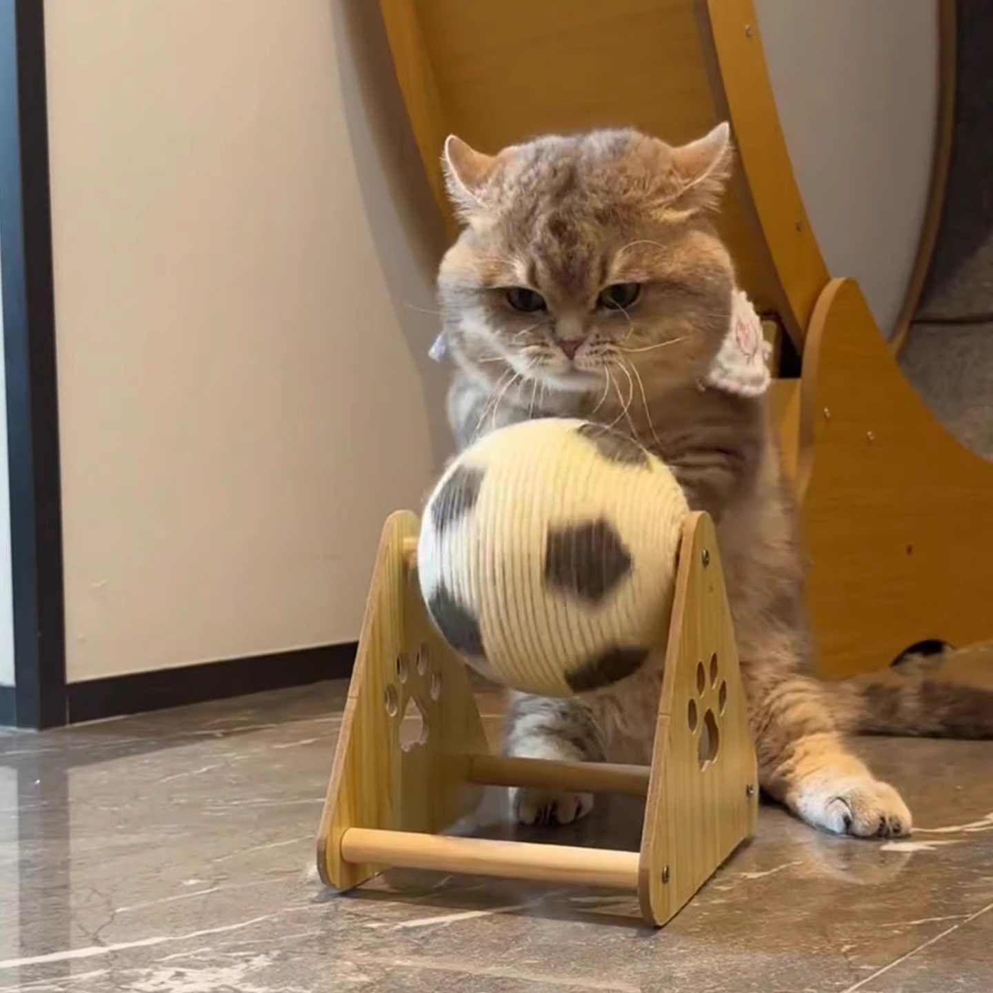 Wood Sisal Cat Scratching Ball Toy with Solid Base for Claw Grinding - Teleplus wood sisal