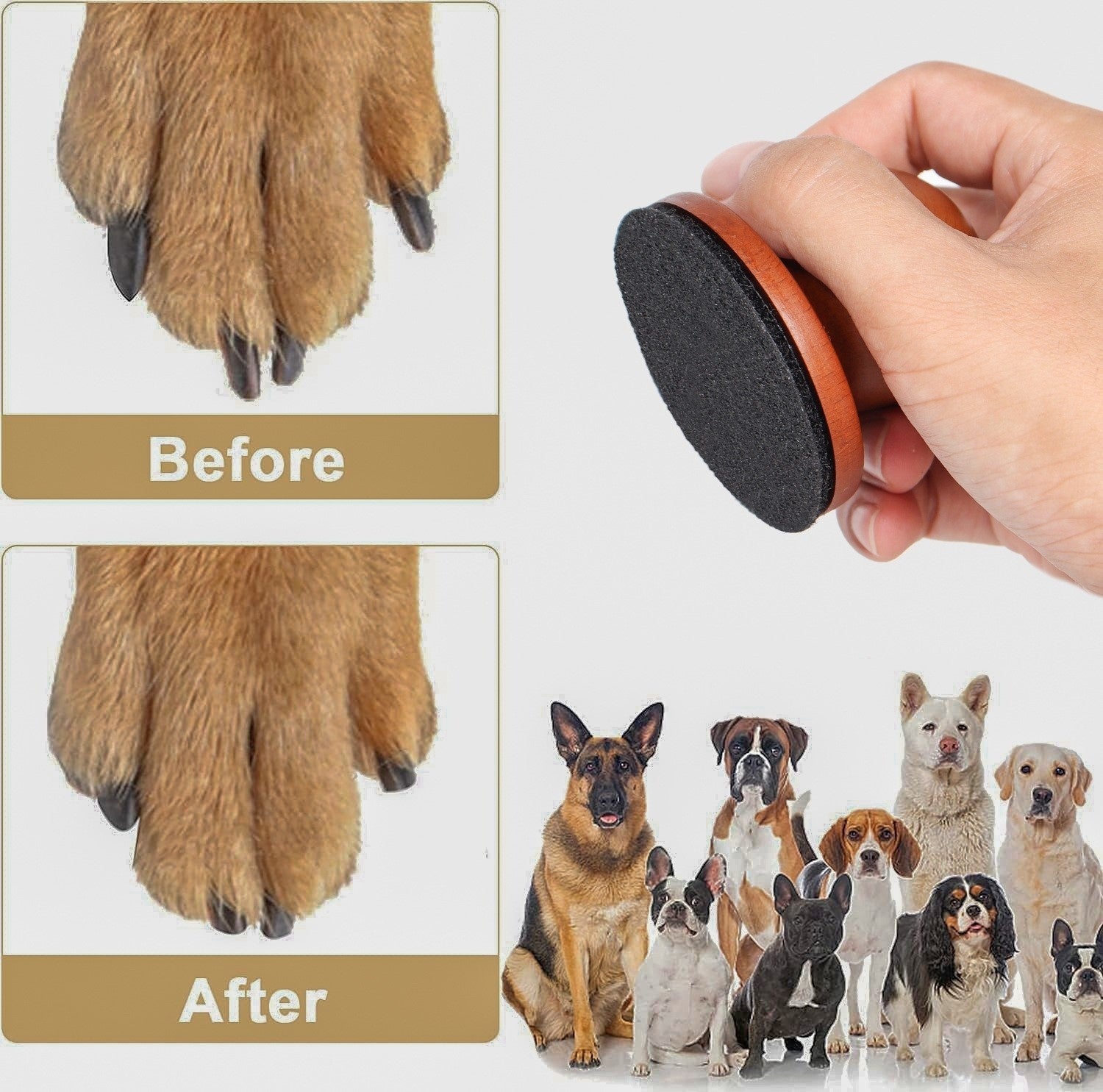Wooden Dog Scratch Board Interactive Claw Care Toy for Dogs Multiple Styles
