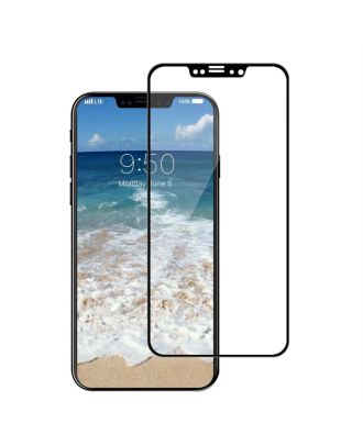 Apple iPhone Xs Max Fully Covered Tinted Glass