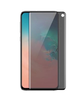 Samsung Galaxy S10 Plus Privacy Ghost Nano with Privacy Filter